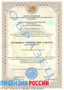 Образец сертификата соответствия аудитора №ST.RU.EXP.00006191-3 Ульяновск Сертификат ISO 50001